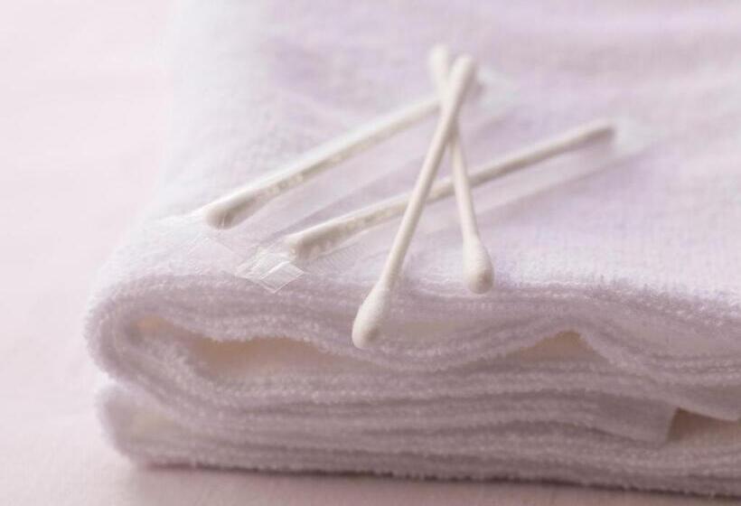 Ark Hotel Okayama  Route Inn Hotels