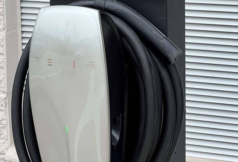 בית מלון כפרי Best Western Plus Downtown Inn & Suites