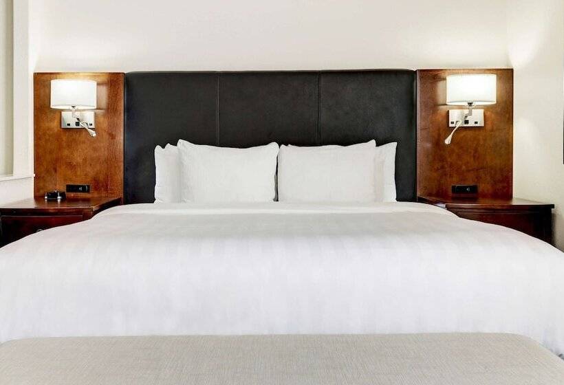 בית מלון כפרי Best Western Plus Downtown Inn & Suites