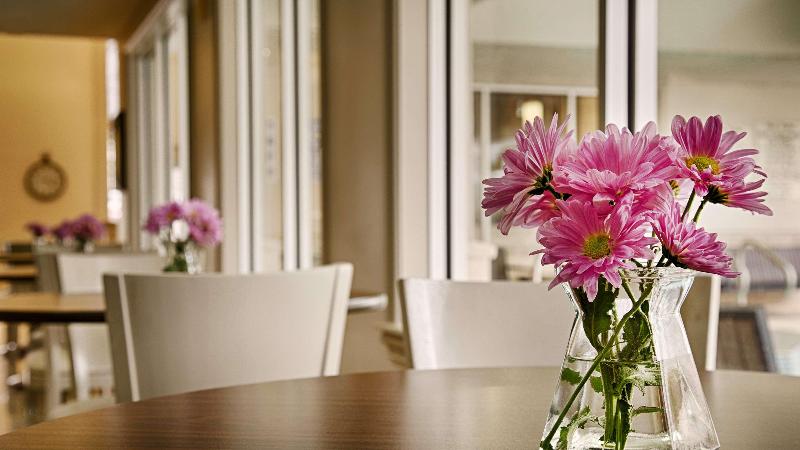 בית מלון כפרי Best Western Plus Downtown Inn & Suites