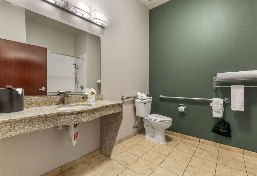 Отель Best Western Plus Duncanville/dallas