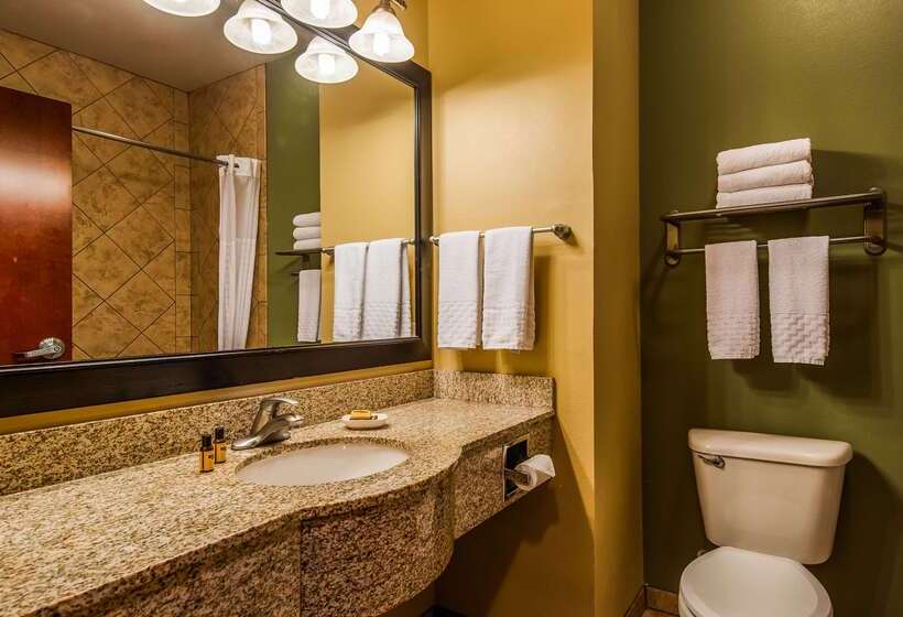 Отель Best Western Plus Duncanville/dallas