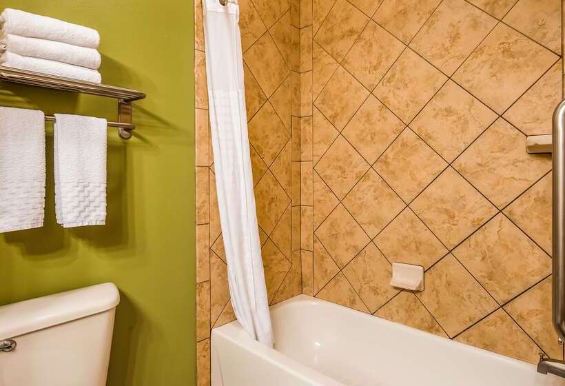 Отель Best Western Plus Duncanville/dallas