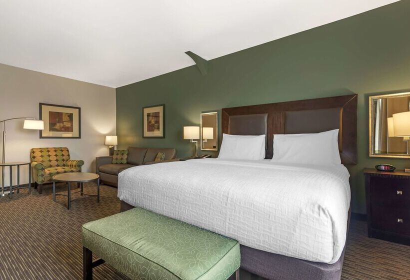 酒店 Best Western Plus Duncanville/dallas