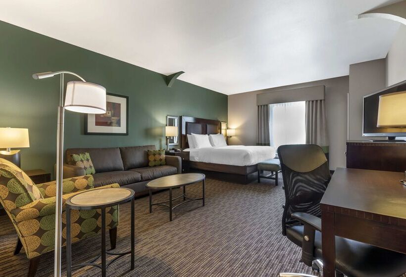 酒店 Best Western Plus Duncanville/dallas