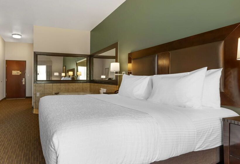 酒店 Best Western Plus Duncanville/dallas