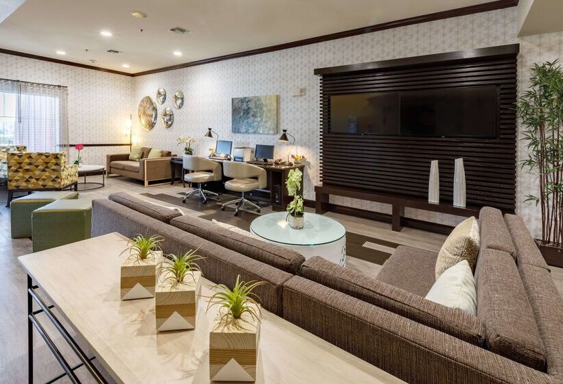 酒店 Best Western Plus Duncanville/dallas