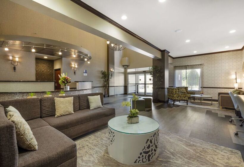 酒店 Best Western Plus Duncanville/dallas