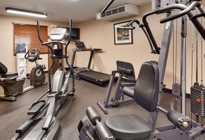 호텔 Best Western Plus Kelly Inn & Suites