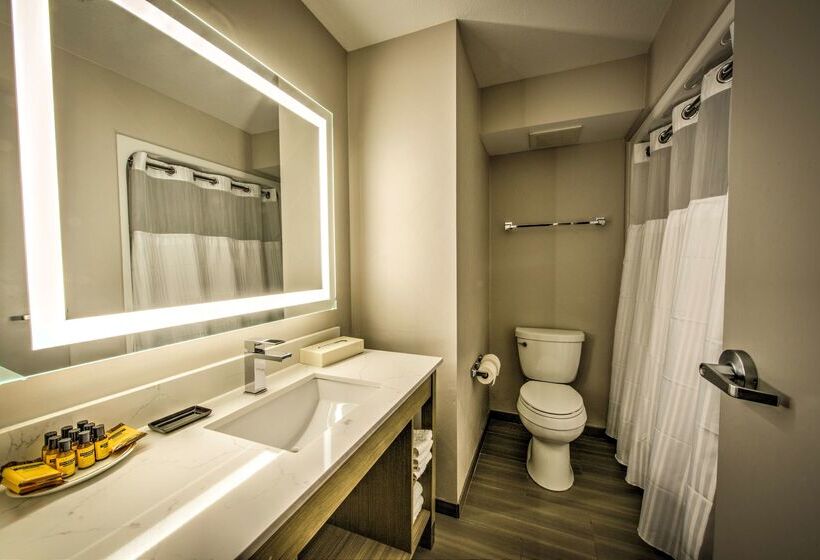 فندق Best Western Plus Media Center Inn & Suites