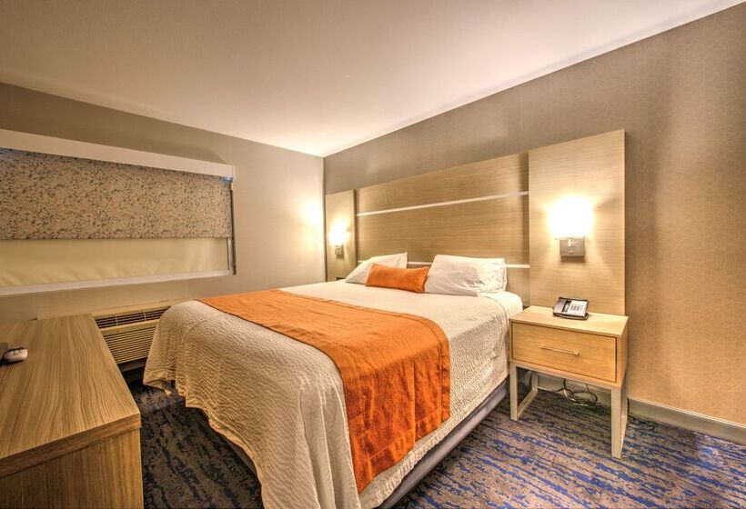 فندق Best Western Plus Media Center Inn & Suites