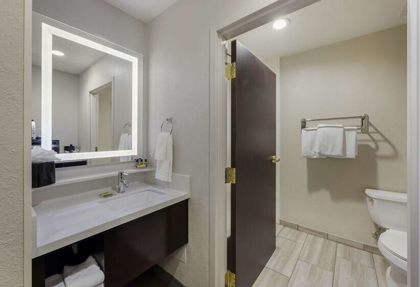 Best Western Plus Nashville Airport Hotel   Bna