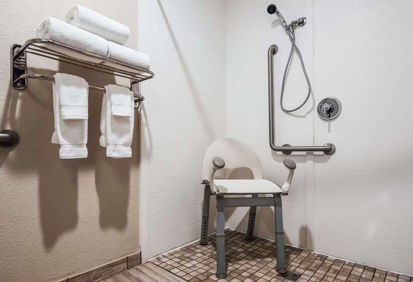 Best Western Plus Nashville Airport Hotel   Bna