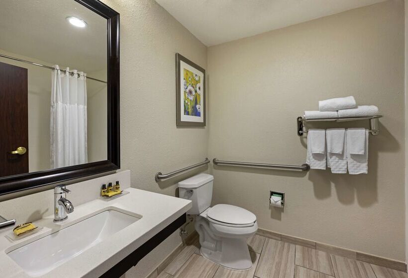 Best Western Plus Nashville Airport Hotel   Bna