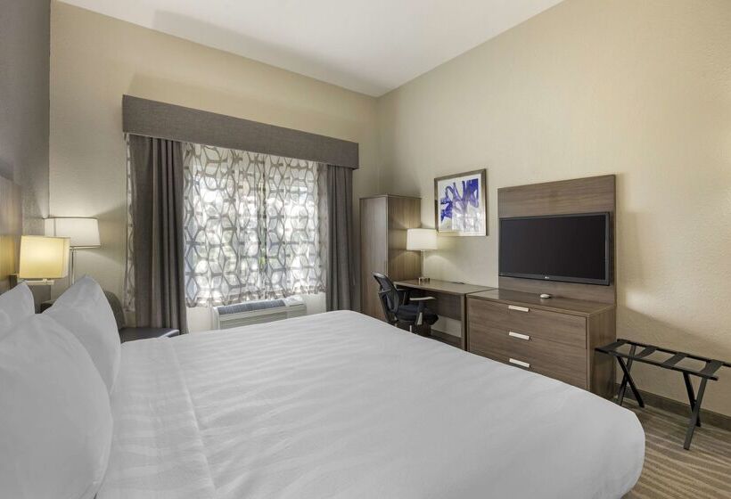 Best Western Plus Nashville Airport Hotel   Bna