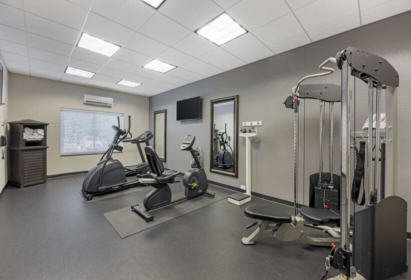 Best Western Plus Nashville Airport Hotel   Bna