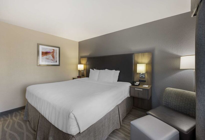 Best Western Plus Nashville Airport Hotel   Bna