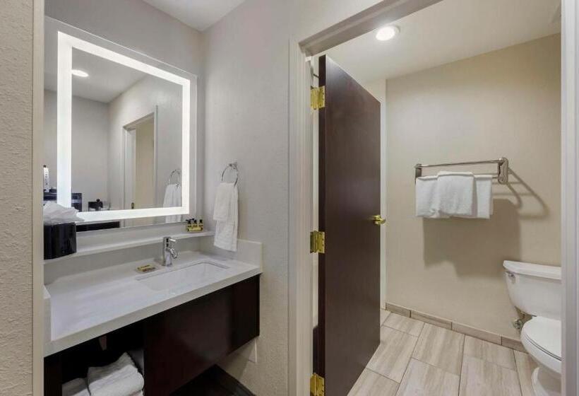 Best Western Plus Nashville Airport Hotel   Bna