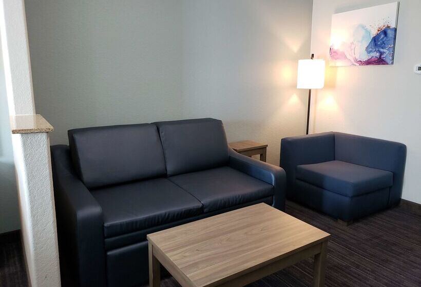 酒店 Best Western Plus San Antonio East Inn & Suites