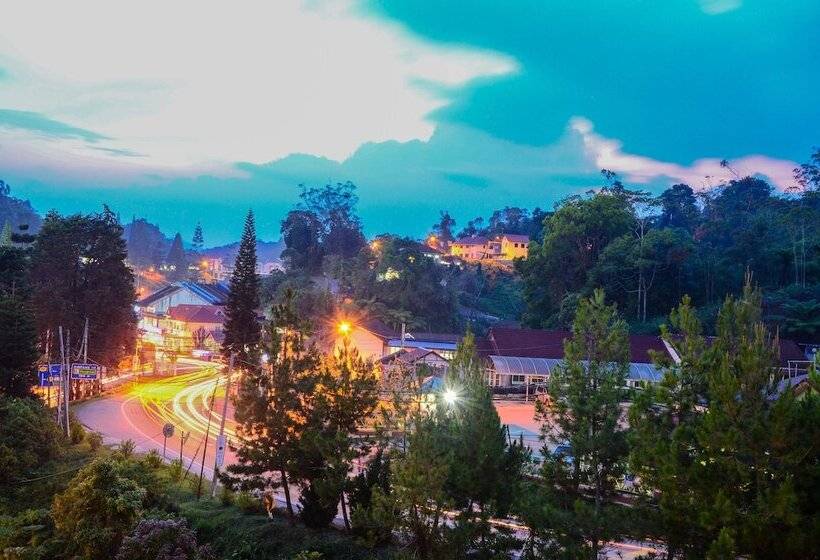 فندق Century Pines Resort