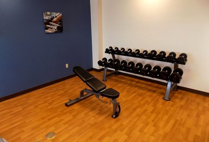 בית מלון כפרי Comfort Inn & Suites Allen Park  Dearborn