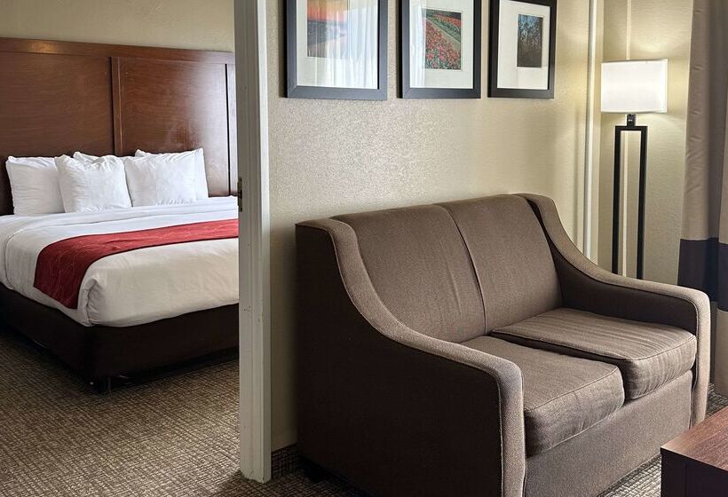 فندق Comfort Suites Airport