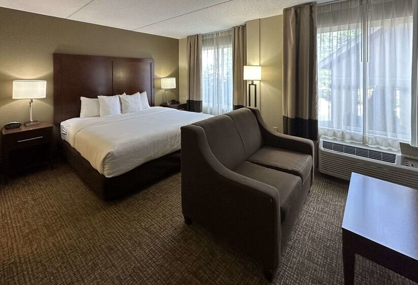 فندق Comfort Suites Airport