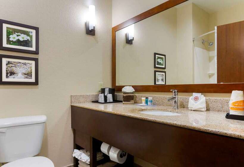 Отель Comfort Suites Little Rock West