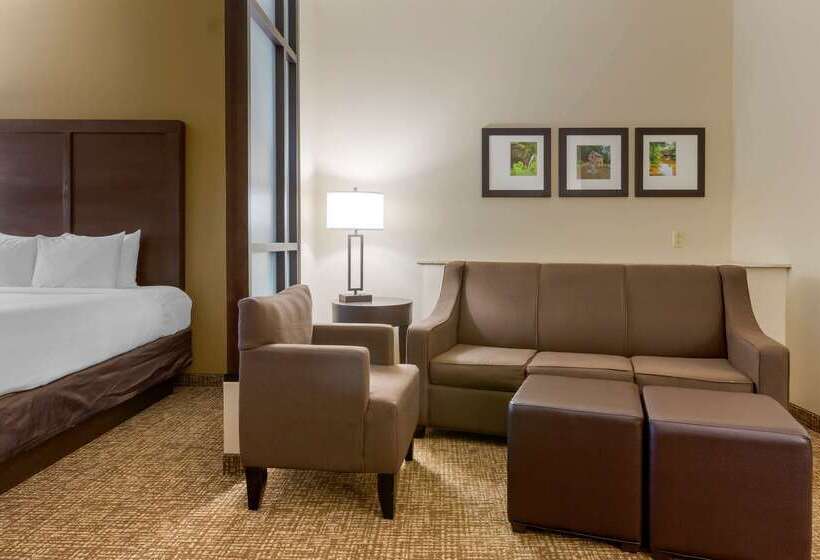 Отель Comfort Suites Little Rock West