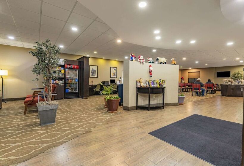 هتل Comfort Suites