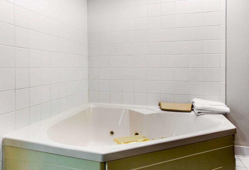 ホテル Econo Lodge Inn & Suites Marietta