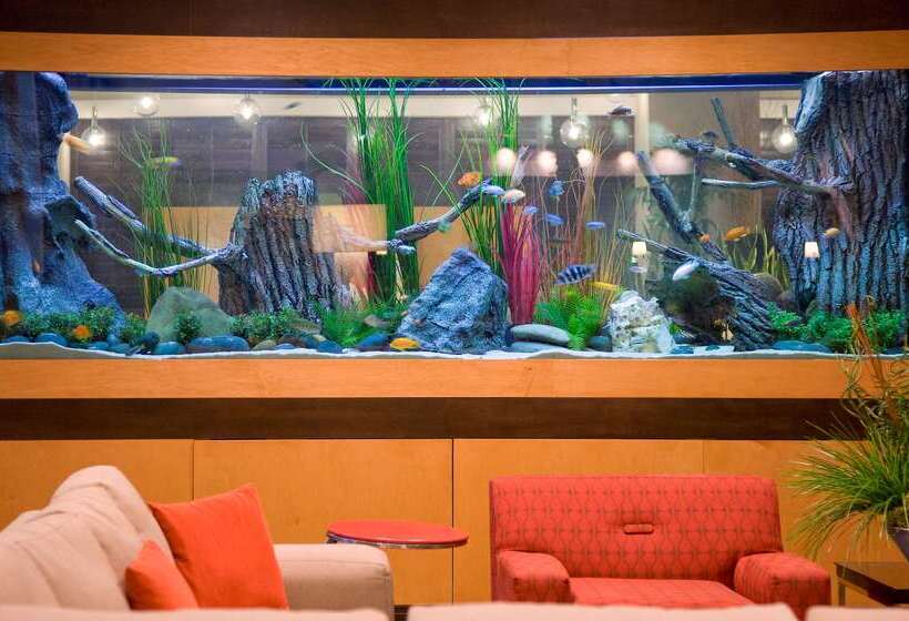 בית מלון כפרי Embassy Suites By Hilton Houston Energy Corridor