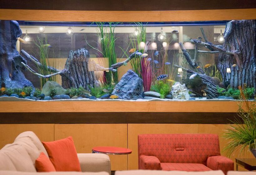 בית מלון כפרי Embassy Suites By Hilton Houston Energy Corridor