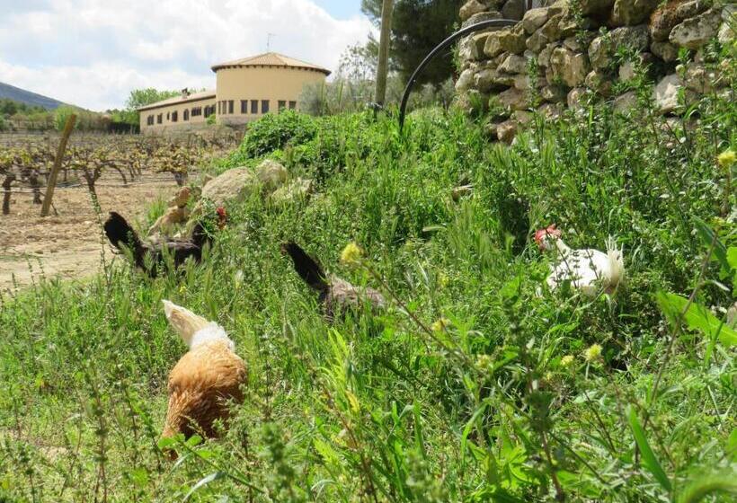 בית מלון כפרי Enoturismo Mainetes