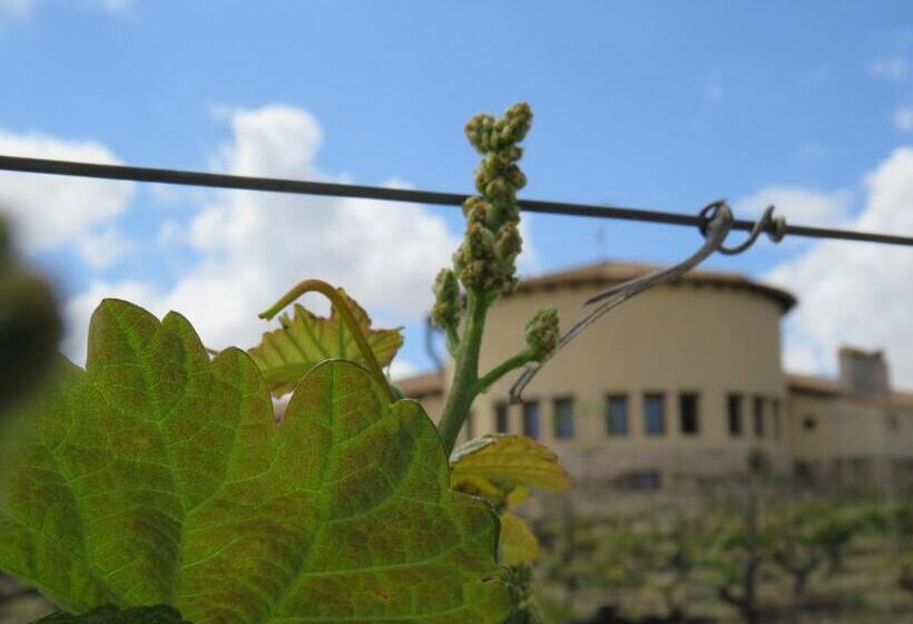 בית מלון כפרי Enoturismo Mainetes