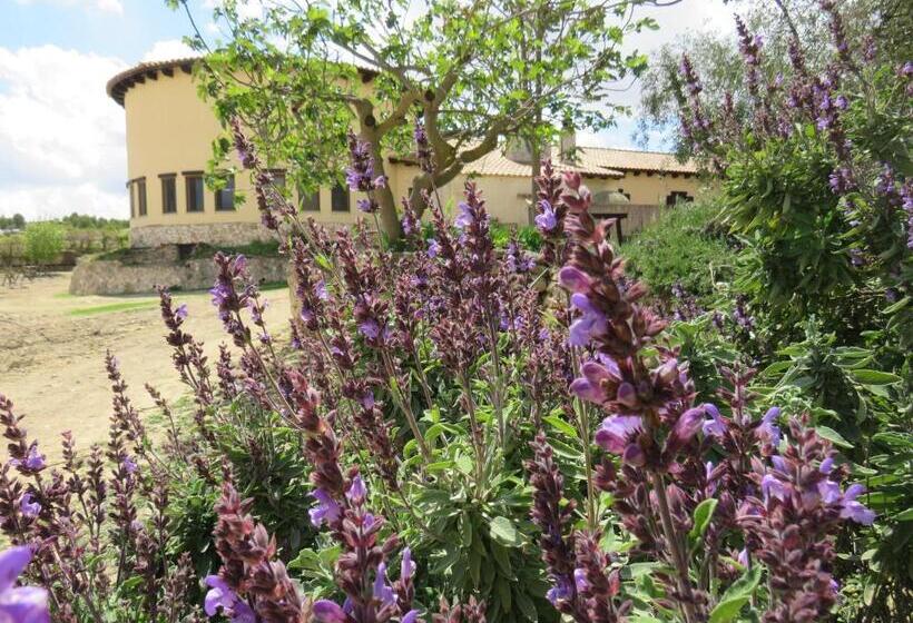 בית מלון כפרי Enoturismo Mainetes