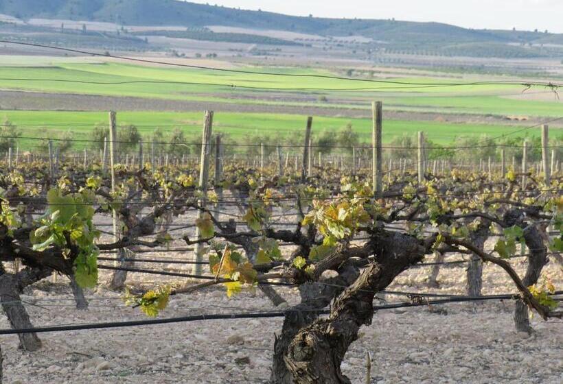 בית מלון כפרי Enoturismo Mainetes