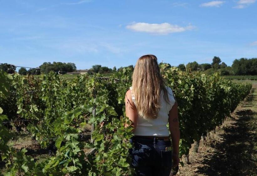 בית מלון כפרי Enoturismo Mainetes