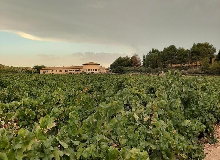 בית מלון כפרי Enoturismo Mainetes