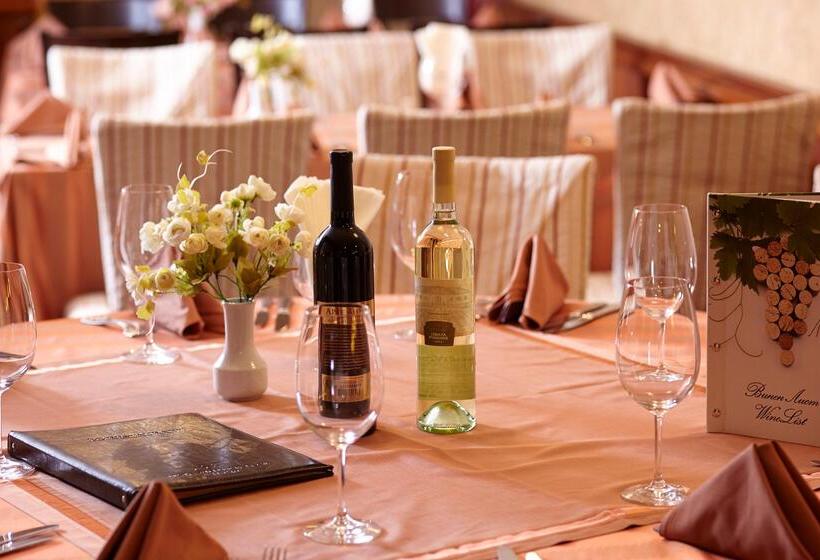 בית מלון כפרי Festa Winter Palace