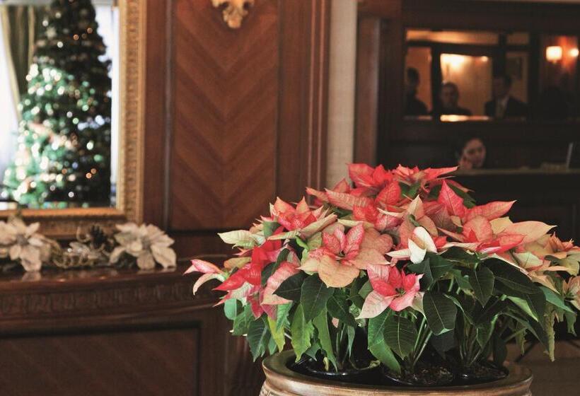 בית מלון כפרי Festa Winter Palace