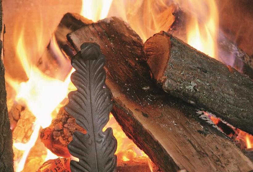 בית מלון כפרי Festa Winter Palace