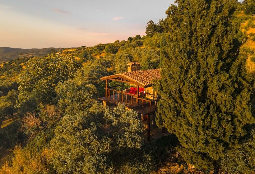 酒店 Gullu Konaklari