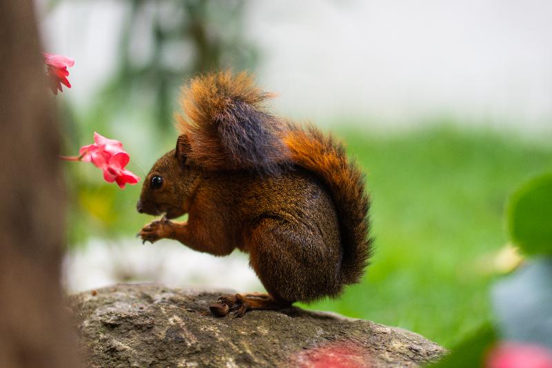 Greenview Medellin By St Hoteles