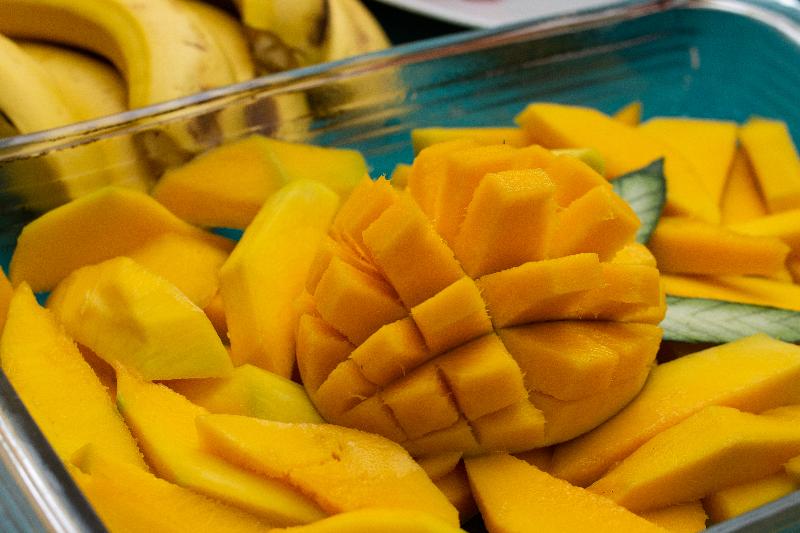 Greenview Medellin By St Hoteles