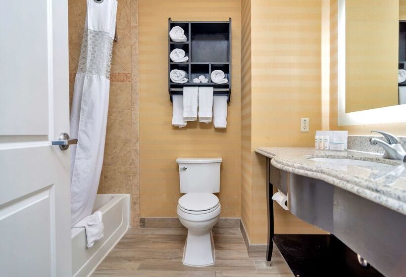 ホテル Hampton Inn & Suites Fort Worth Fossil Creek