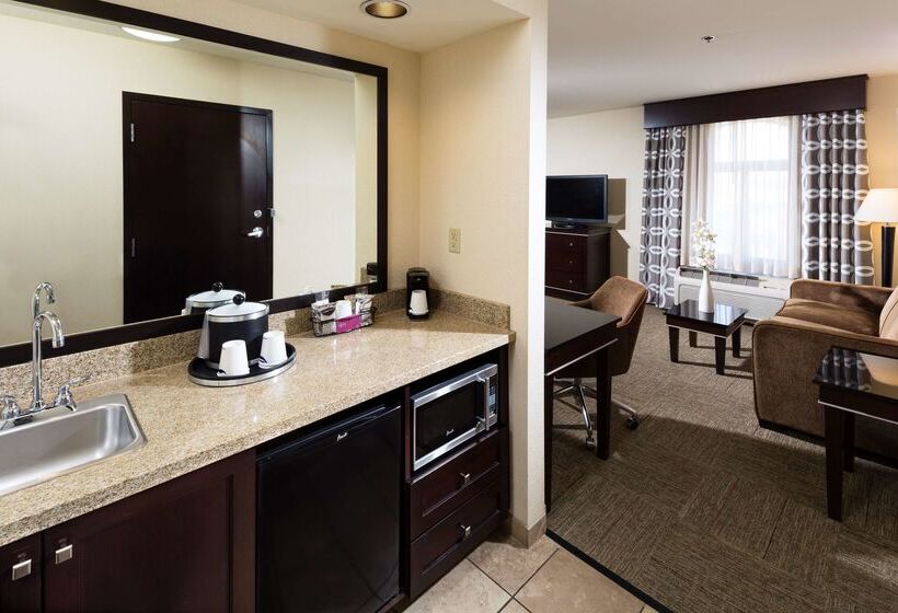 هتل Hampton Inn & Suites Las Vegas South