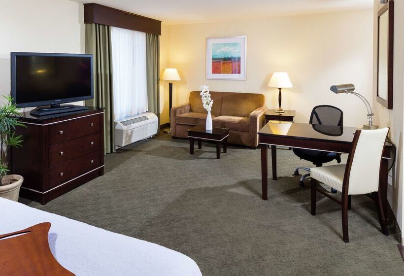 هتل Hampton Inn & Suites Las Vegas South