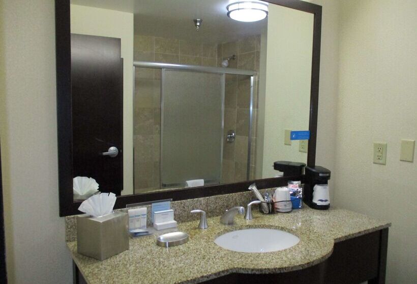 Отель Hampton Inn & Suites Las Vegas South