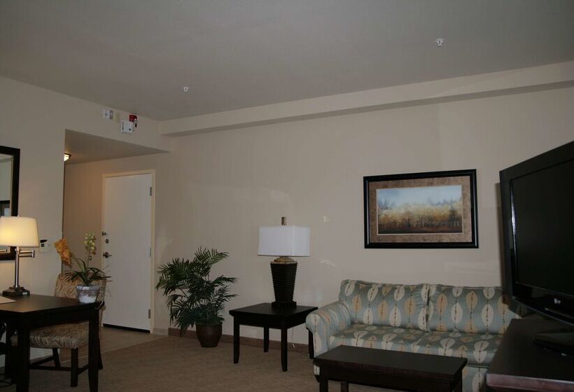 酒店 Hampton Inn & Suites Austin Cedar Parklakeline